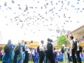 Tn 236 DSC 3140